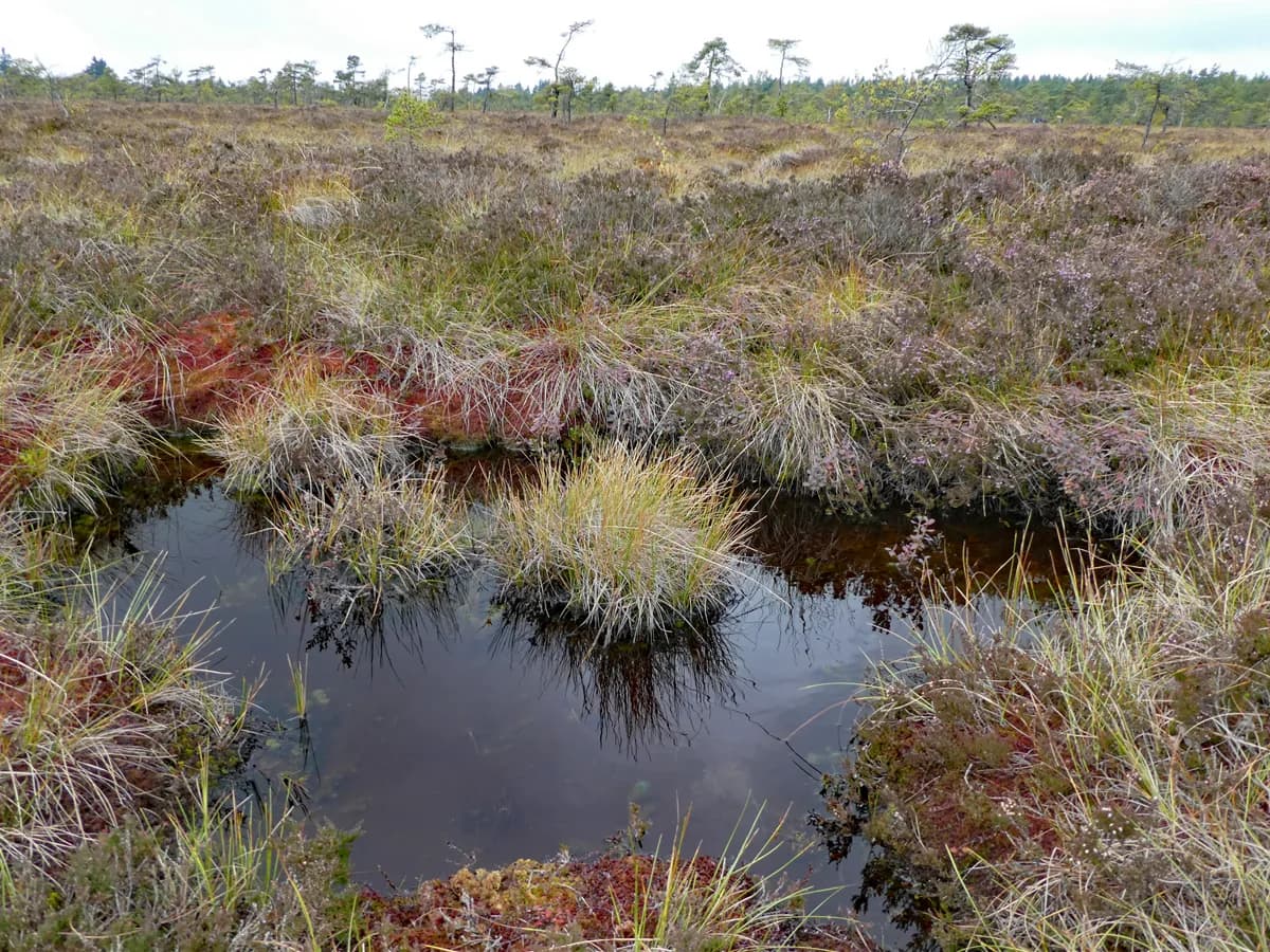Rotes Moor & Kaskadenschlucht